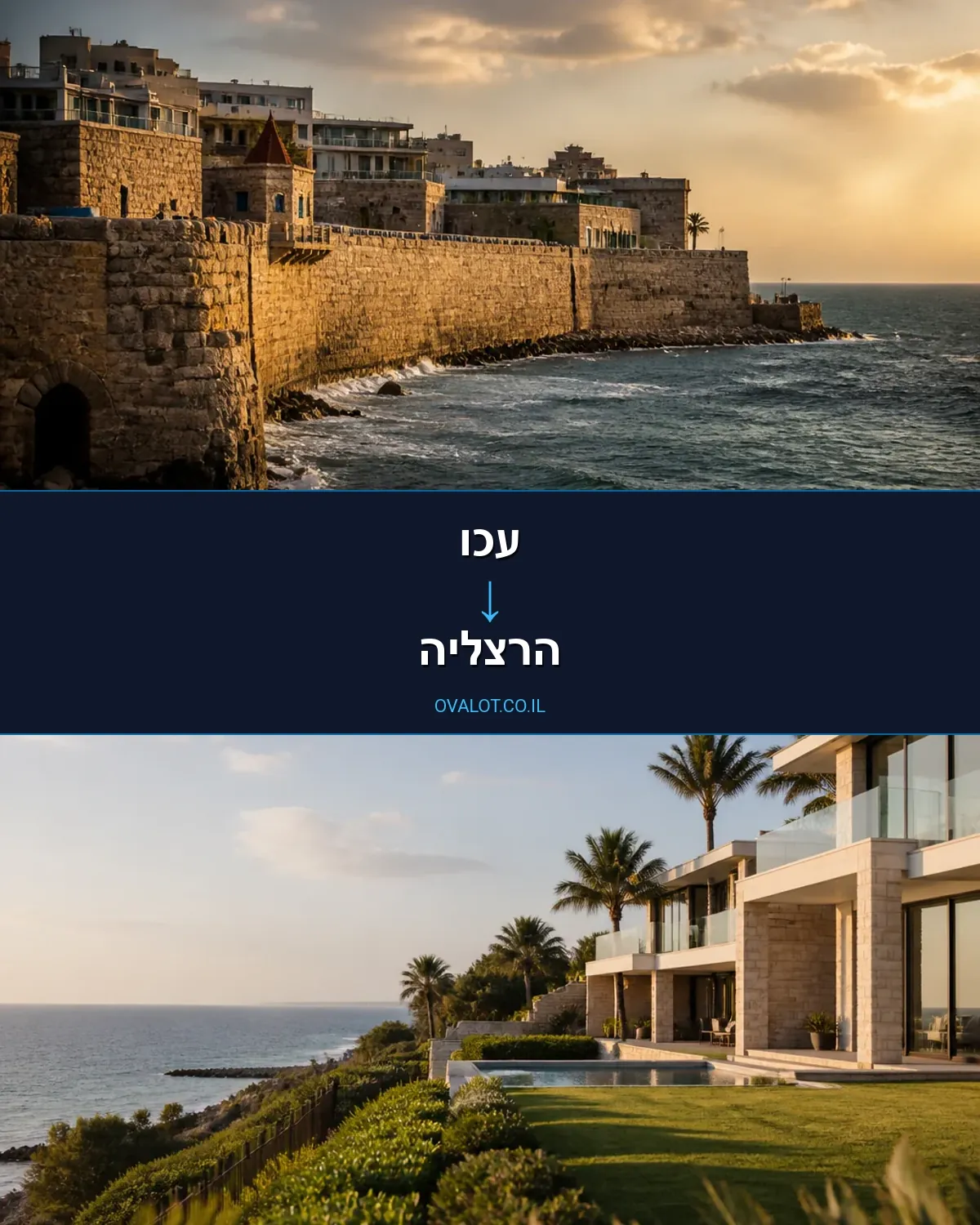 שירותי אריזה מעכו להרצליה