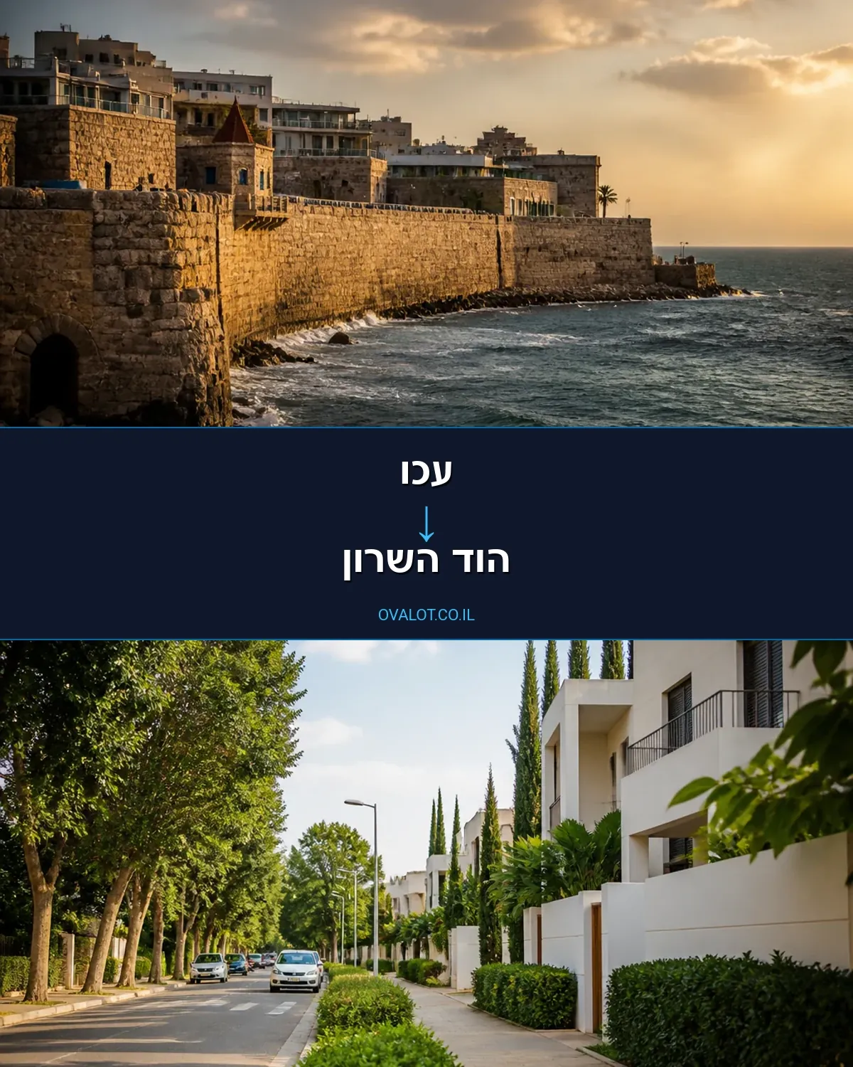 הובלות פסנתרים מעכו להוד השרון