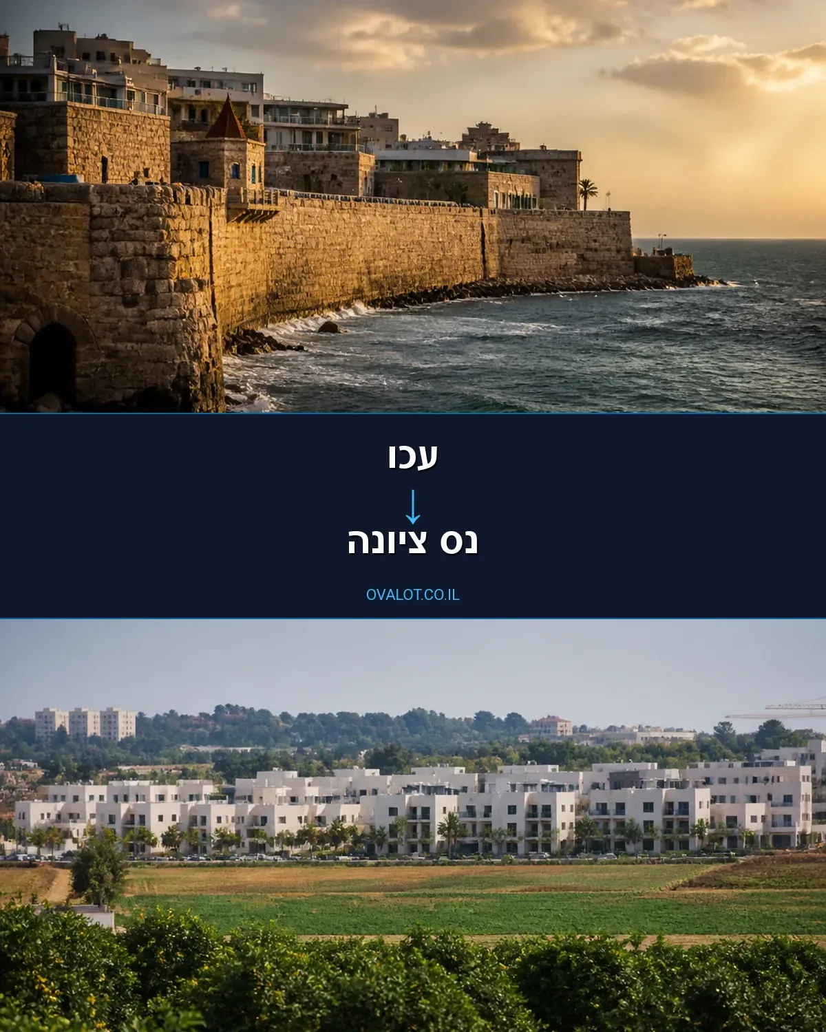 הובלות עם מנוף מעכו לנס ציונה