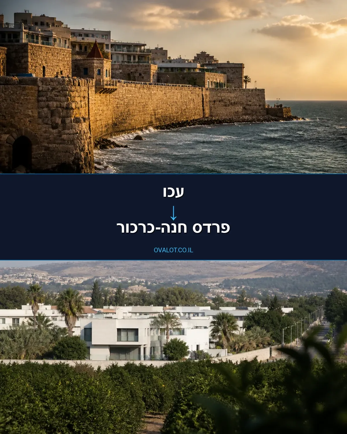 שירותי אריזה מעכו לפרדס חנה-כרכור