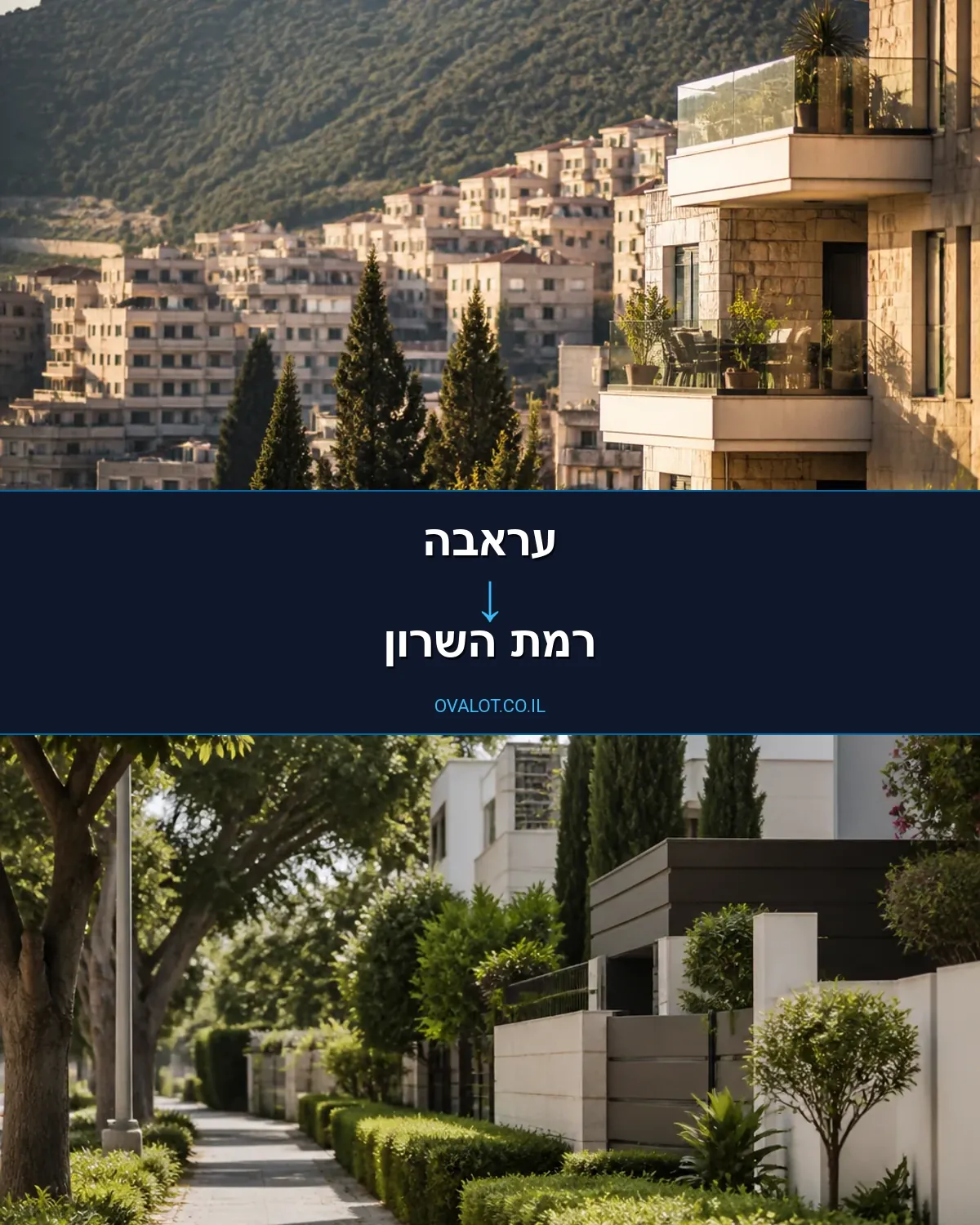 הובלות יצירות אמנות מעראבה לרמת השרון