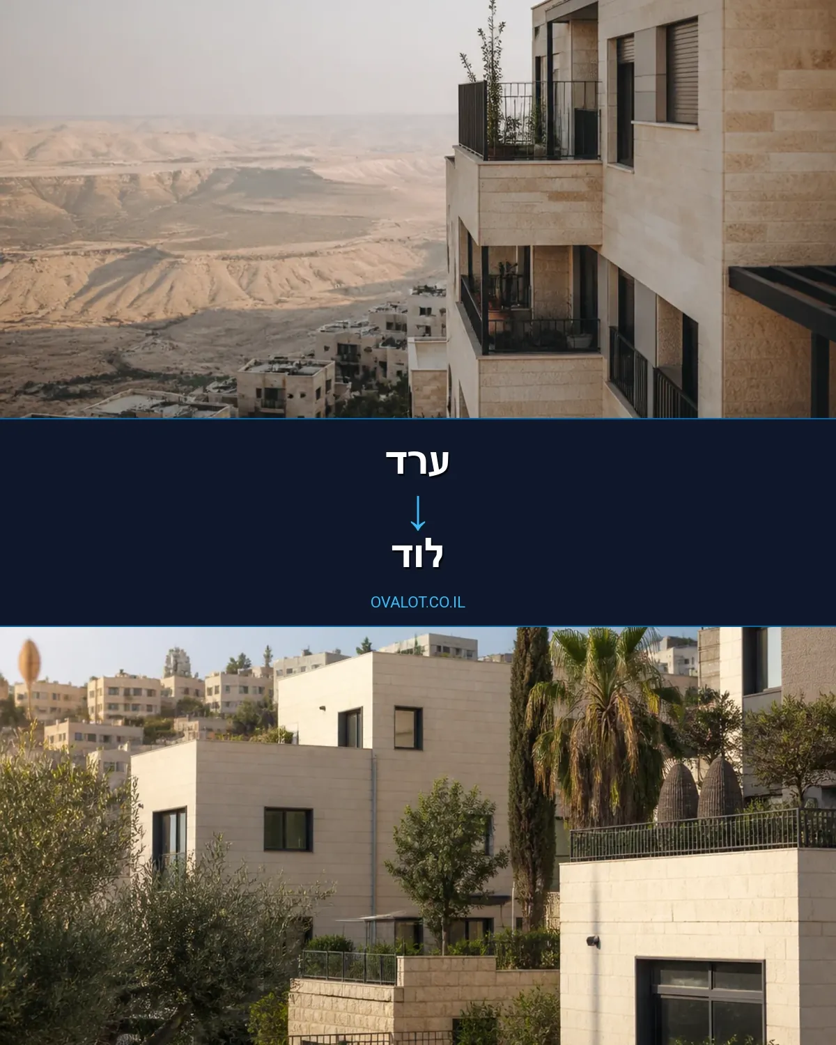 הובלות עם מנוף מערד ללוד