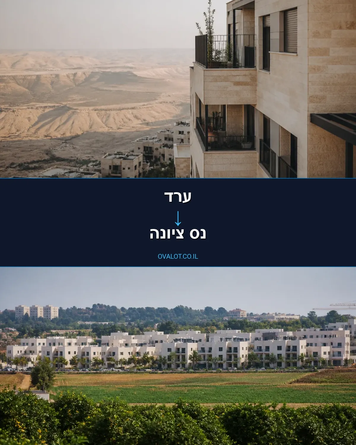 הובלות יצירות אמנות מערד לנס ציונה