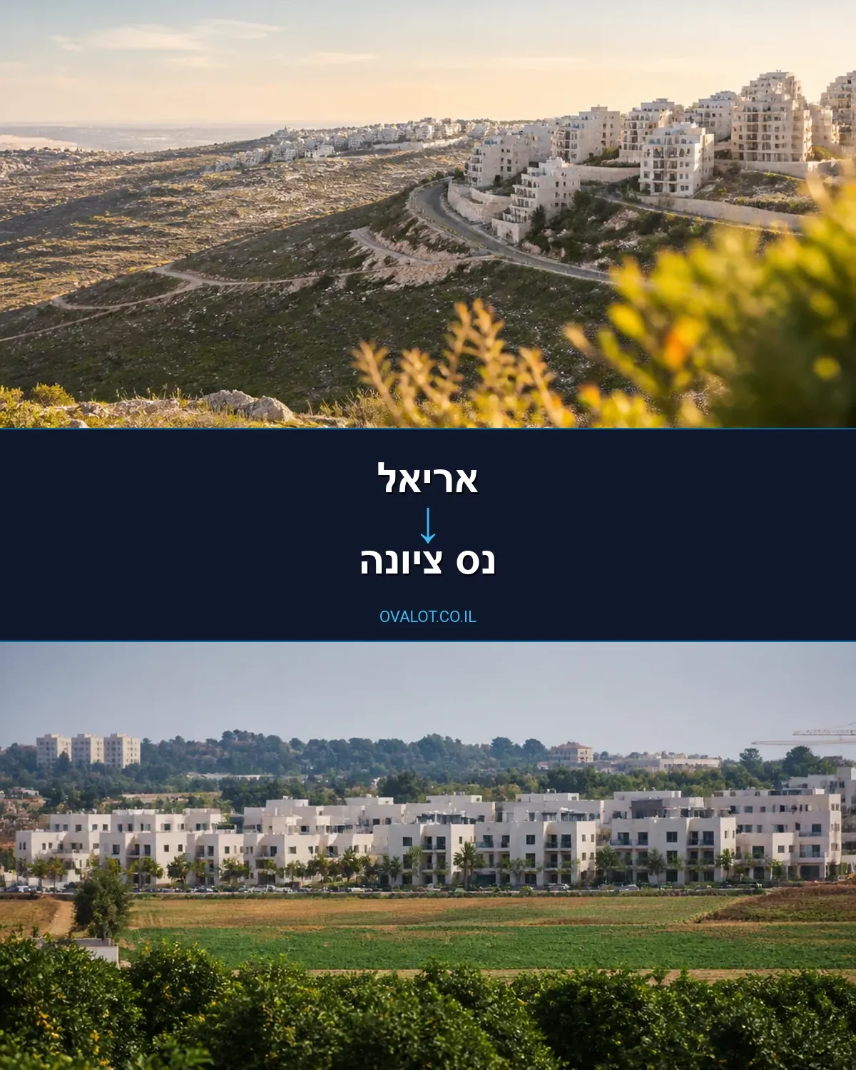 הובלות דירה מאריאל לנס ציונה