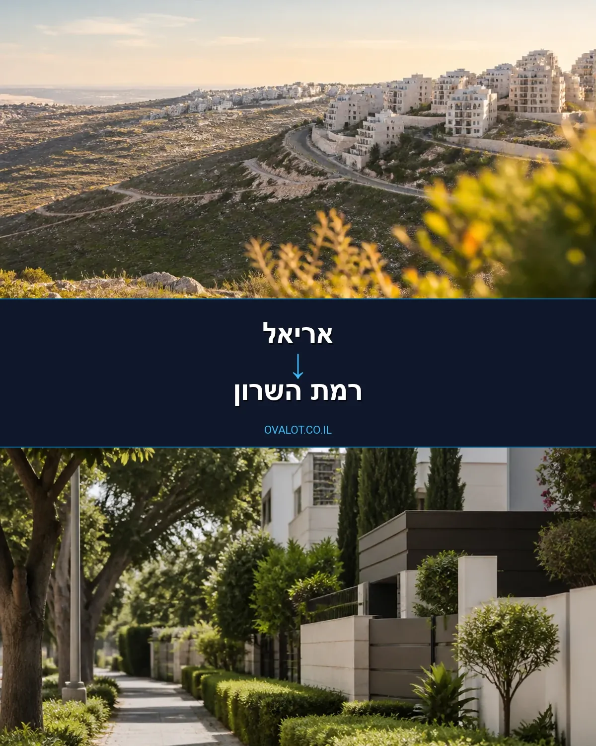 הובלות יצירות אמנות מאריאל לרמת השרון
