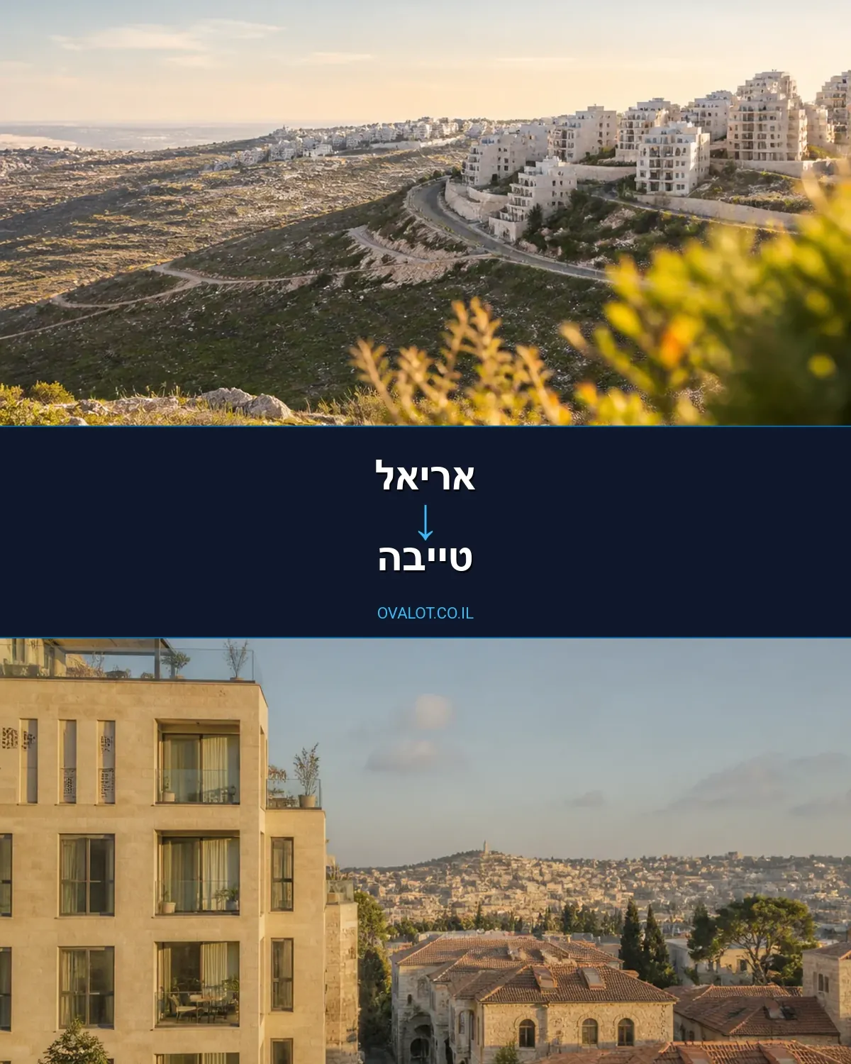 הובלות יצירות אמנות מאריאל לטייבה