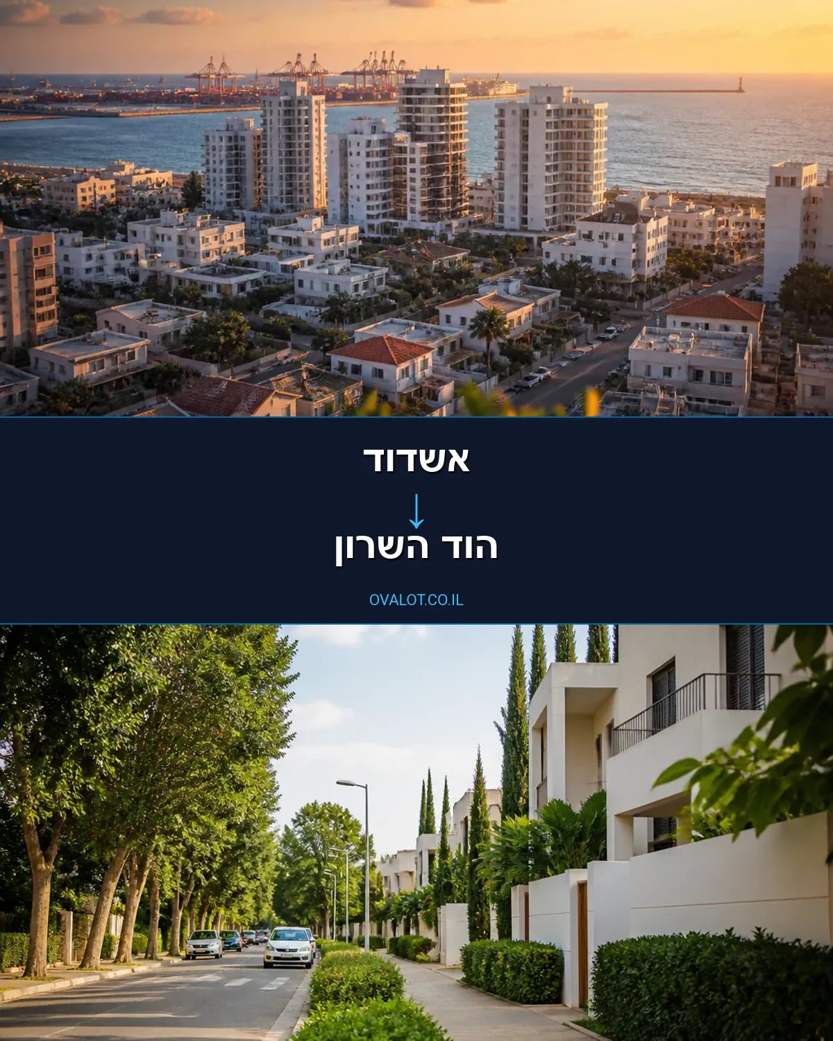 הובלות פסנתרים מאשדוד להוד השרון