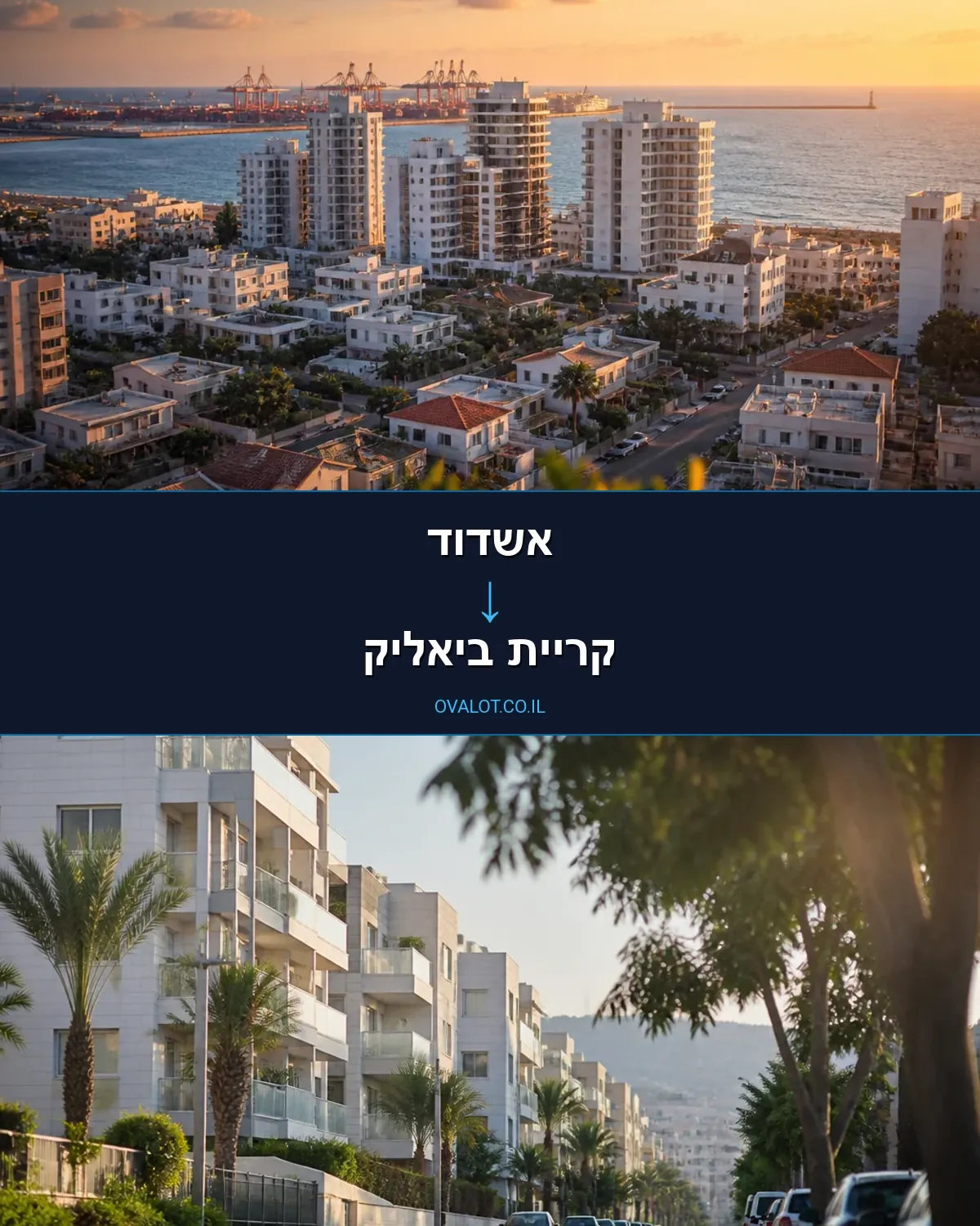 הובלה בקירור מאשדוד לקריית ביאליק