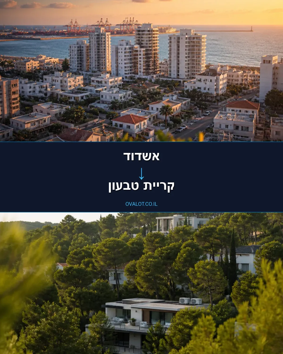 הובלות פסנתרים מאשדוד לקריית טבעון