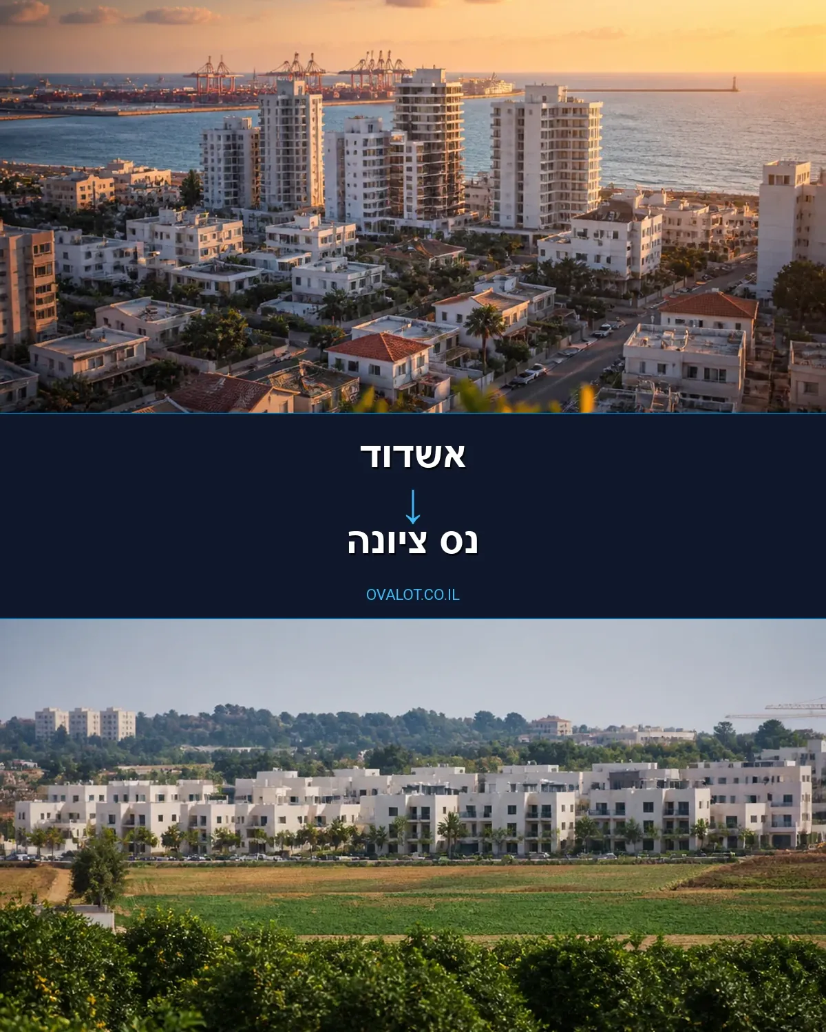 הובלות עם מנוף מאשדוד לנס ציונה