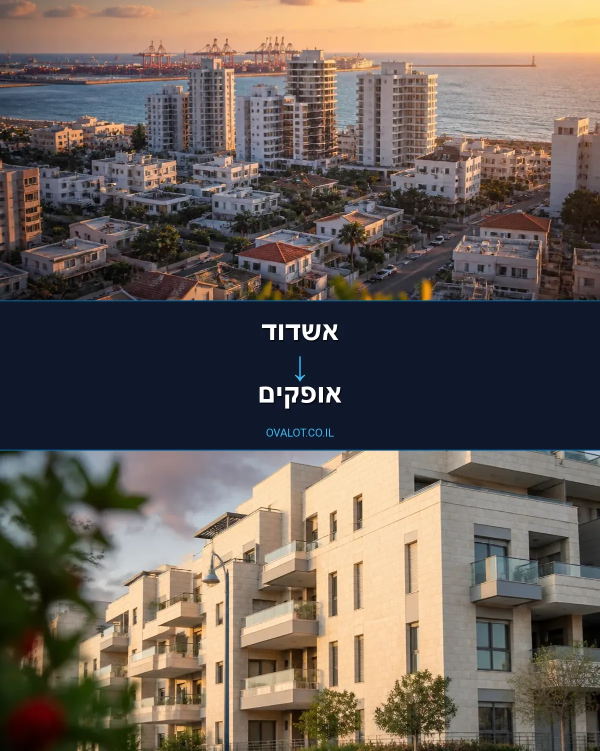 הובלה בקירור מאשדוד לאופקים