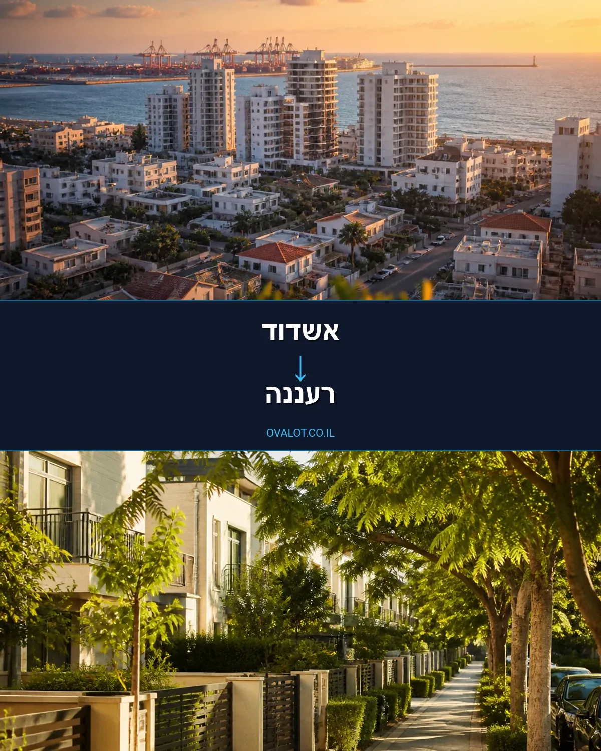 הובלות עם מנוף מאשדוד לרעננה
