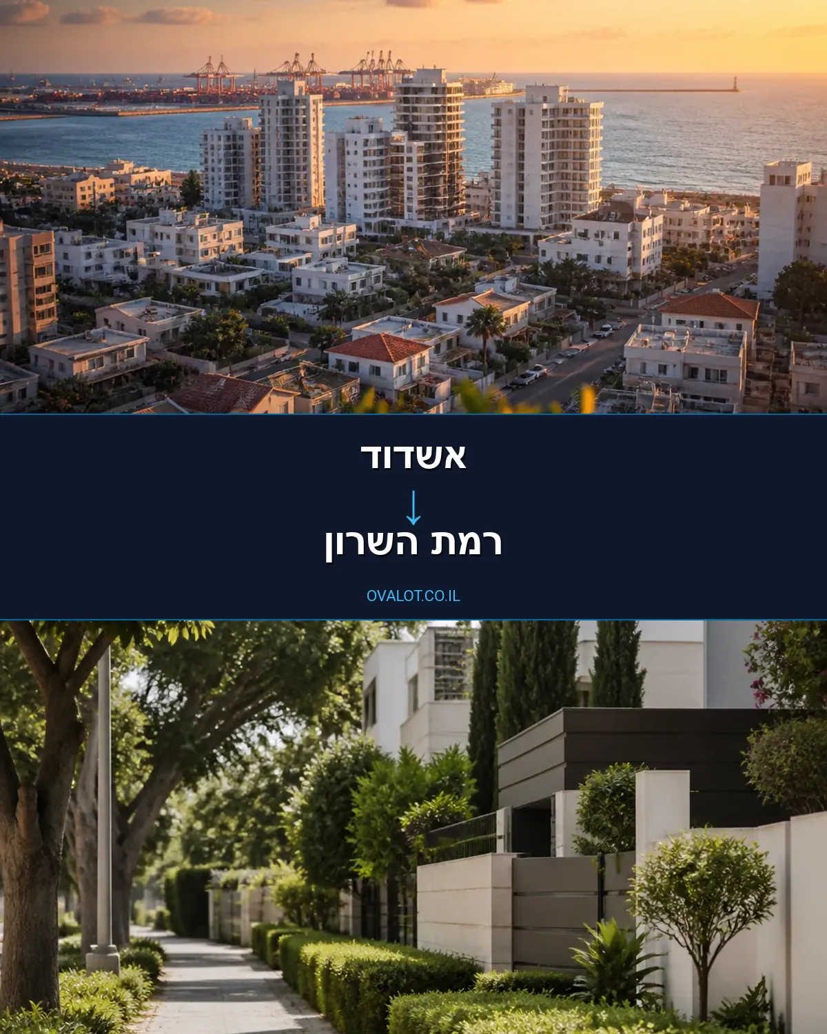 הובלות פסנתרים מאשדוד לרמת השרון