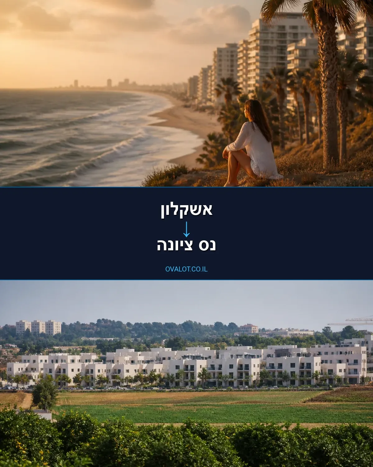 הובלות עם מנוף מאשקלון לנס ציונה