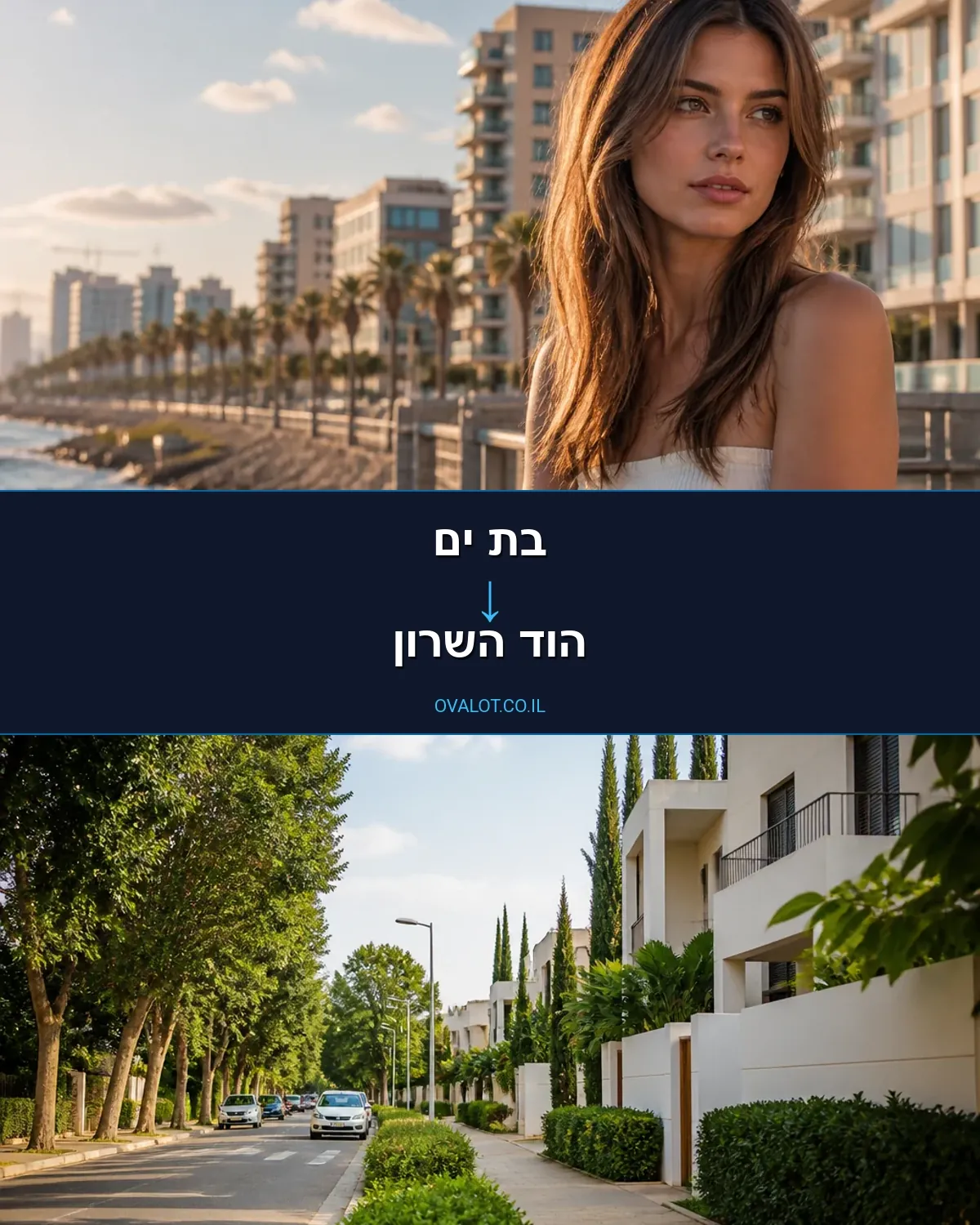הובלות יצירות אמנות מבת ים להוד השרון