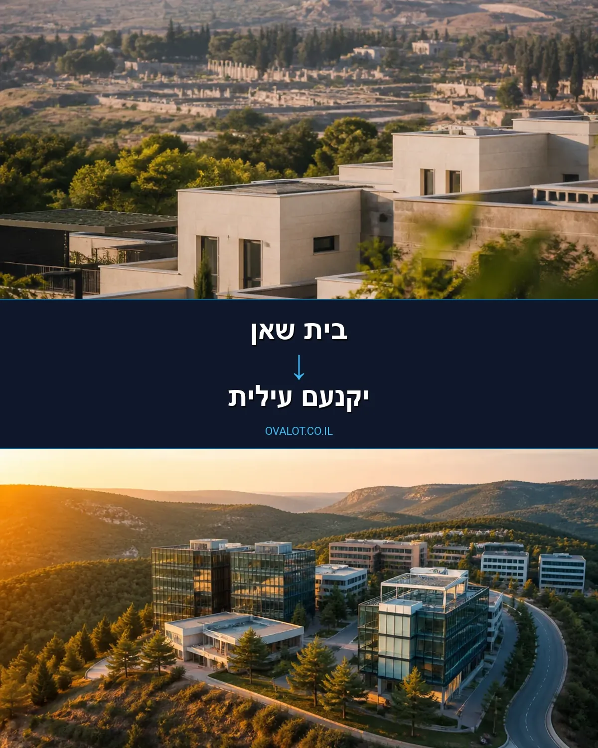 הובלות יצירות אמנות מבית שאן ליקנעם עילית