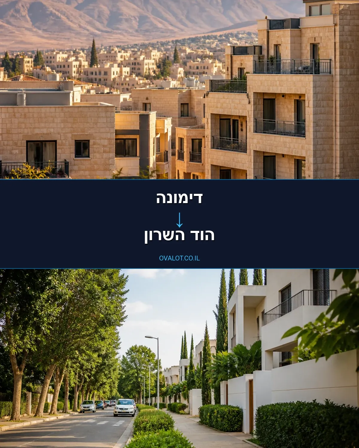 הובלה בקירור מדימונה להוד השרון