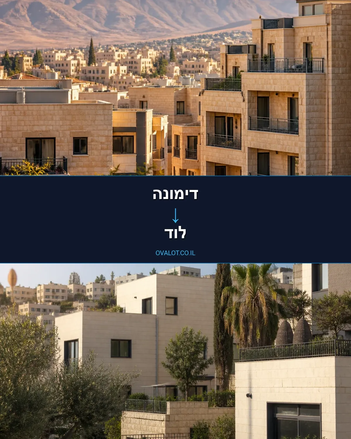 הובלות יצירות אמנות מדימונה ללוד