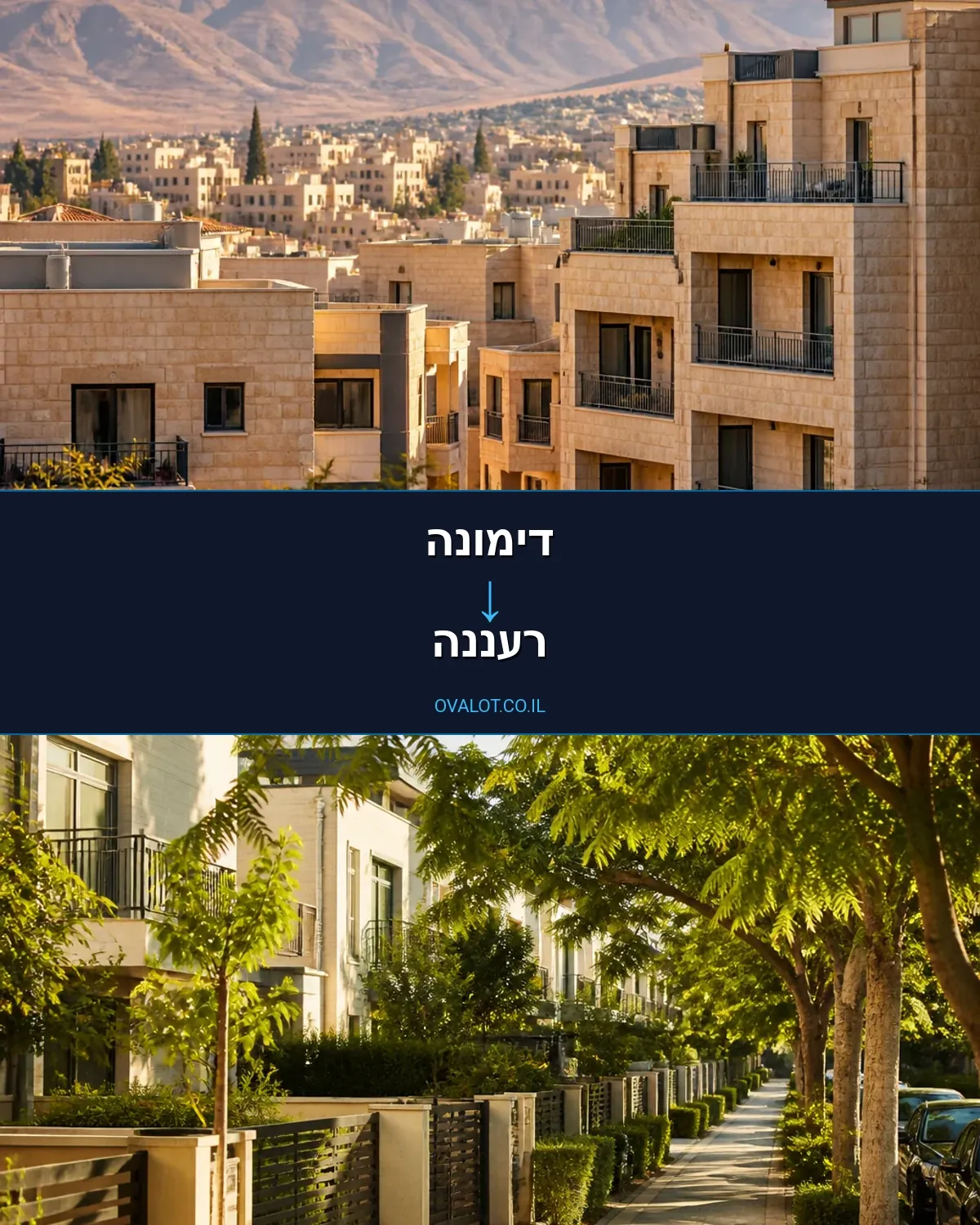 הובלות דירה מדימונה לרעננה