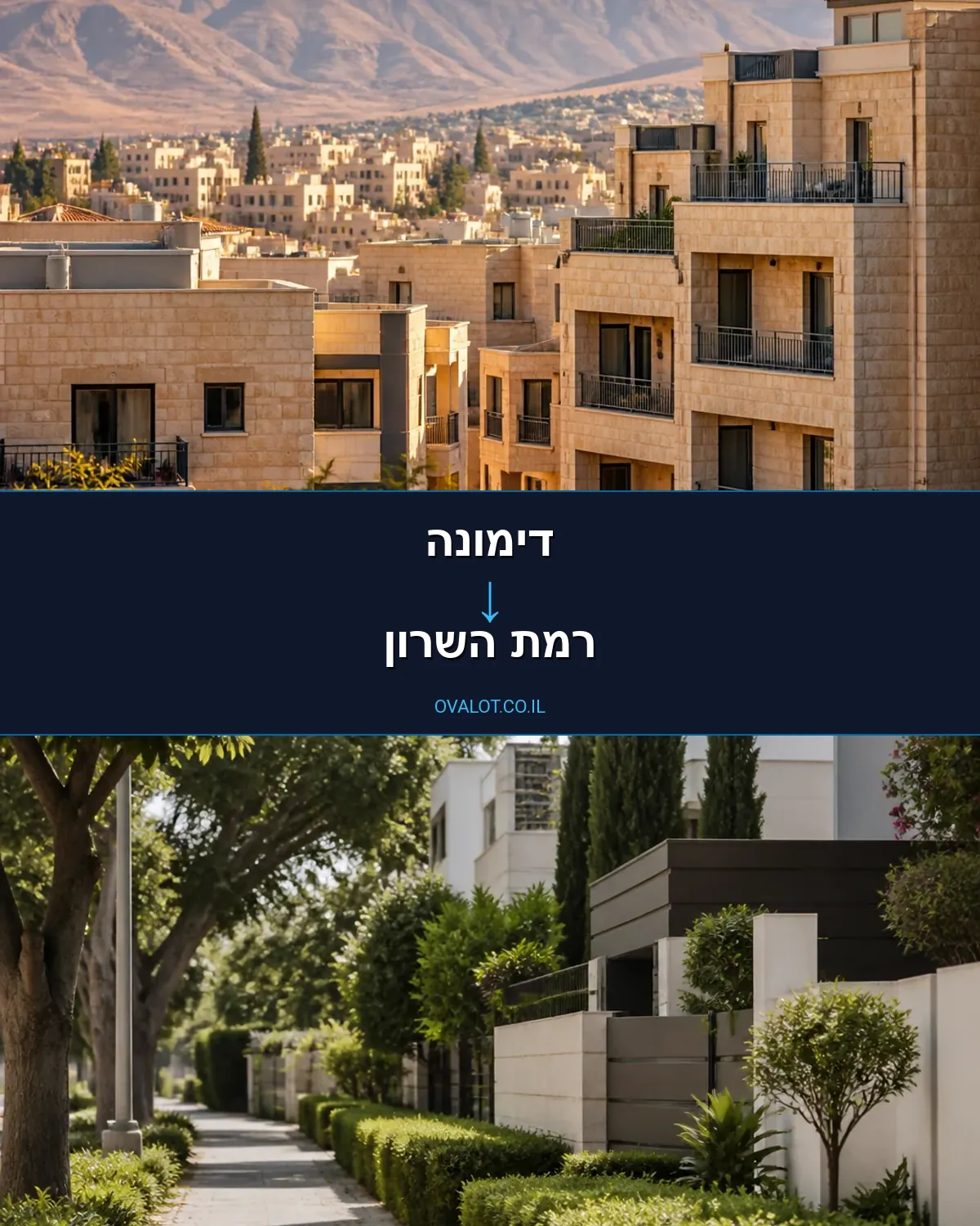 הובלות עם מעלית מדימונה לרמת השרון
