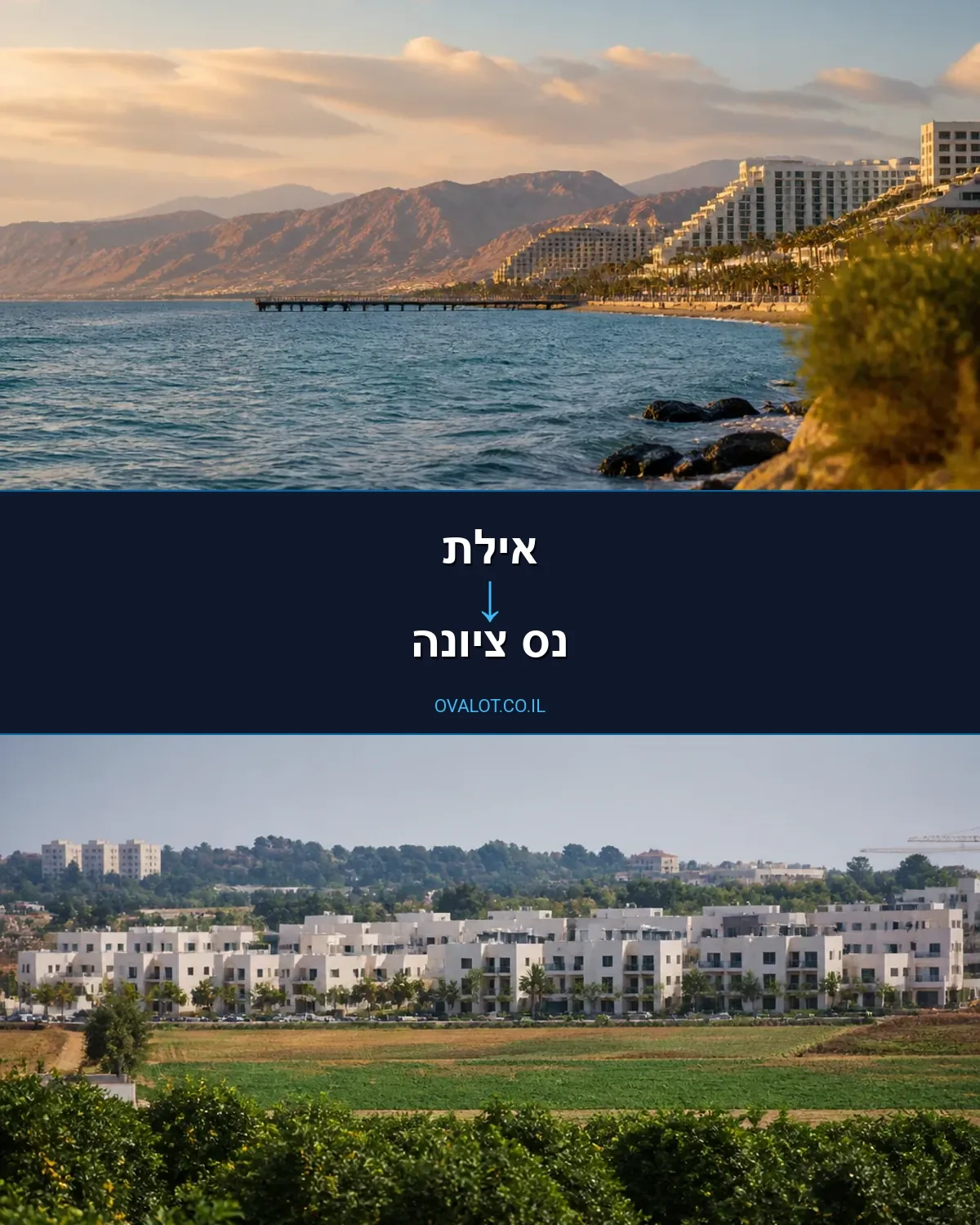 הובלות יצירות אמנות מאילת לנס ציונה