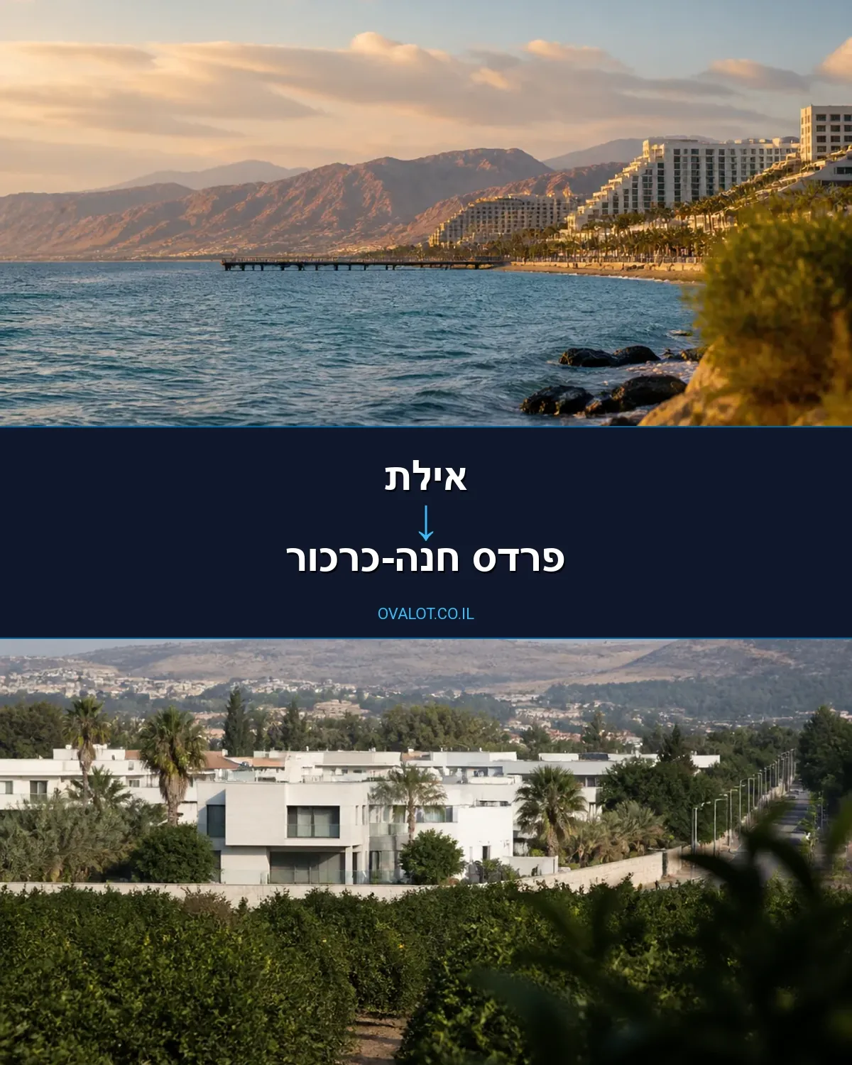 הובלות יצירות אמנות מאילת לפרדס חנה-כרכור