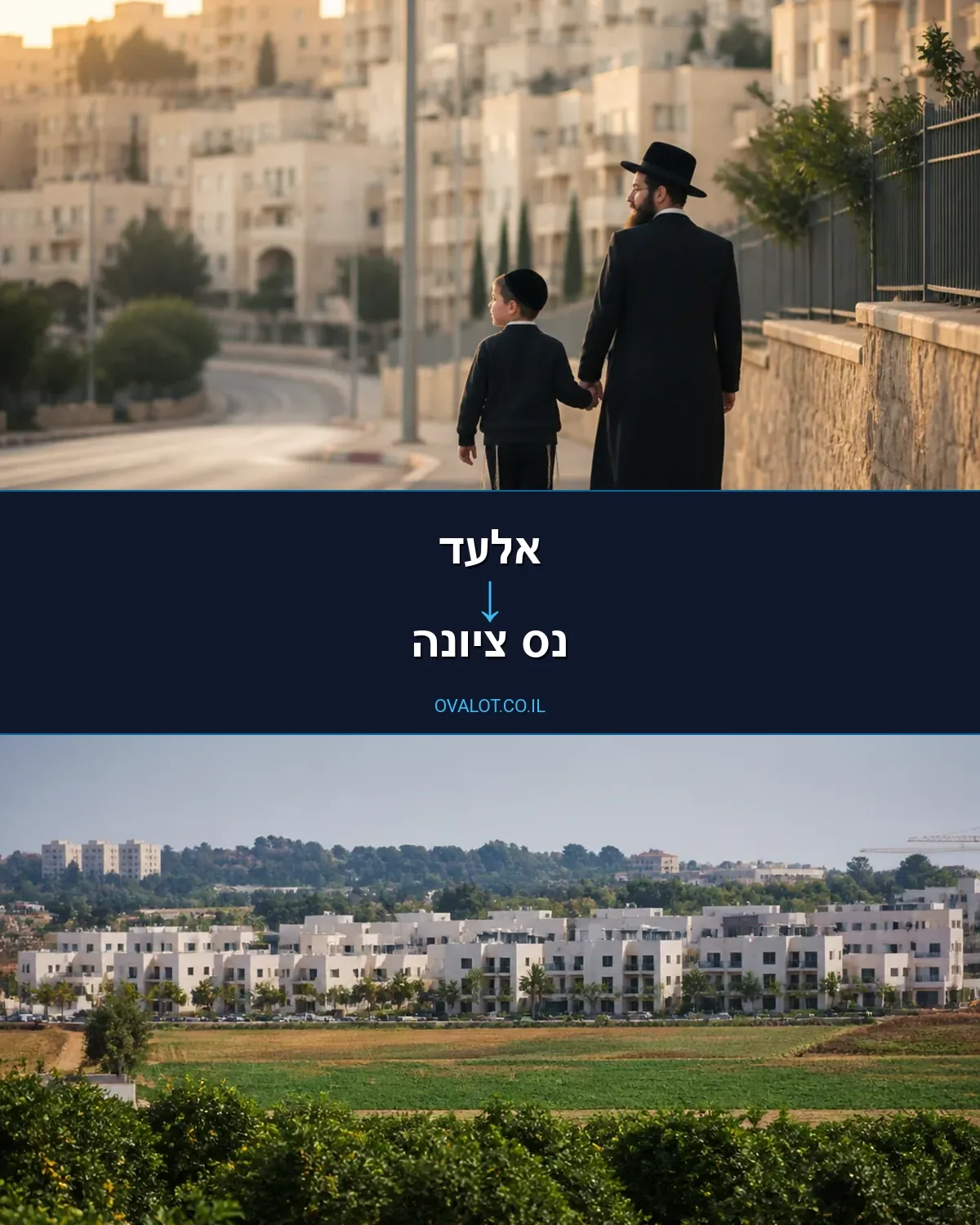 הובלות עם מנוף מאלעד לנס ציונה