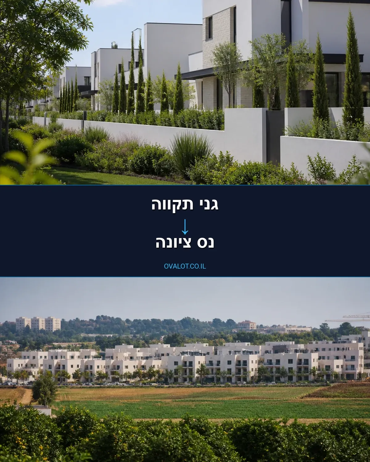 הובלות בתים פרטיים מגני תקווה לנס ציונה
