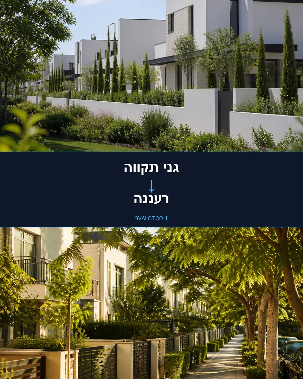 הובלות עם מנוף מגני תקווה לרעננה