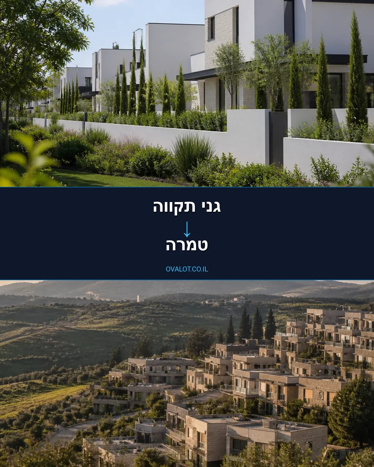 הובלות יצירות אמנות מגני תקווה לטמרה