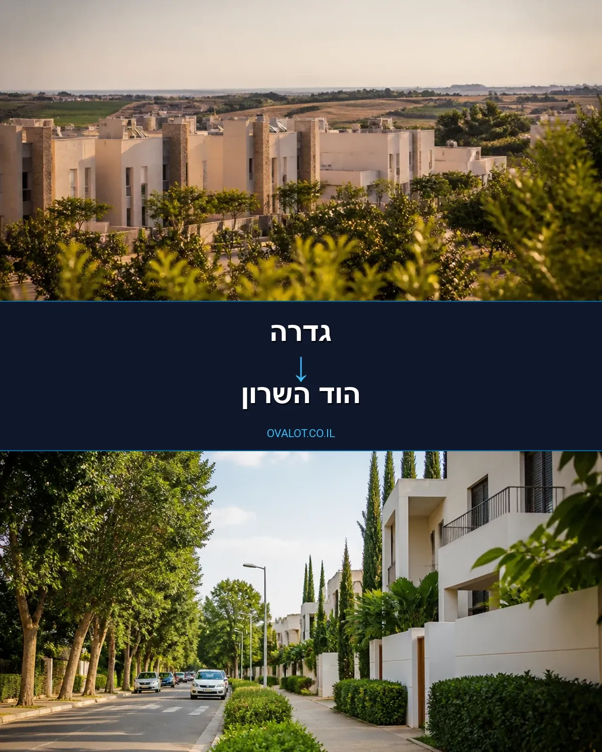 הובלות עם מנוף מגדרה להוד השרון