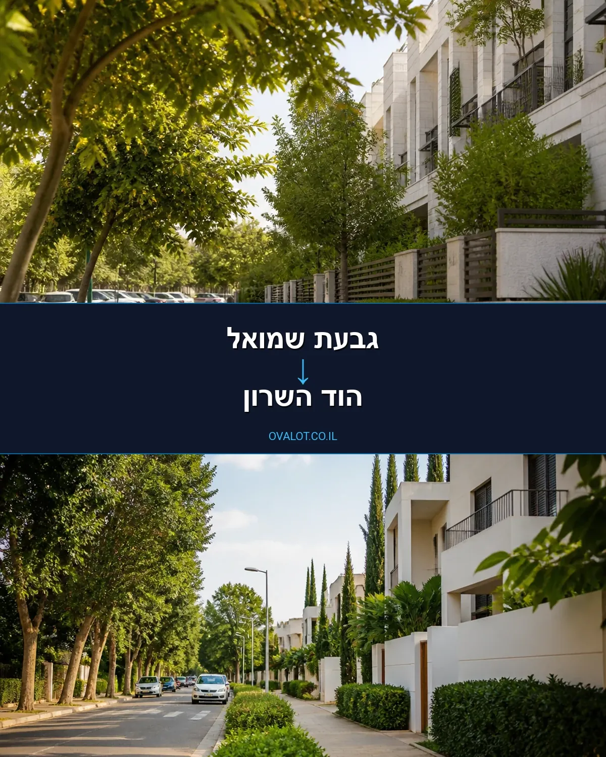 הובלות עם מנוף מגבעת שמואל להוד השרון