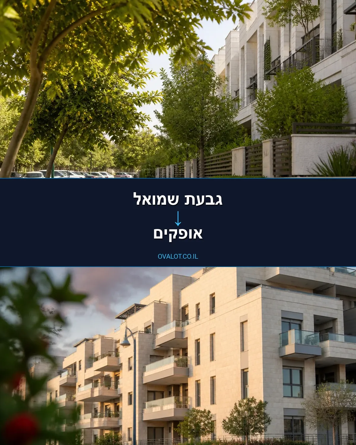 הובלות יצירות אמנות מגבעת שמואל לאופקים