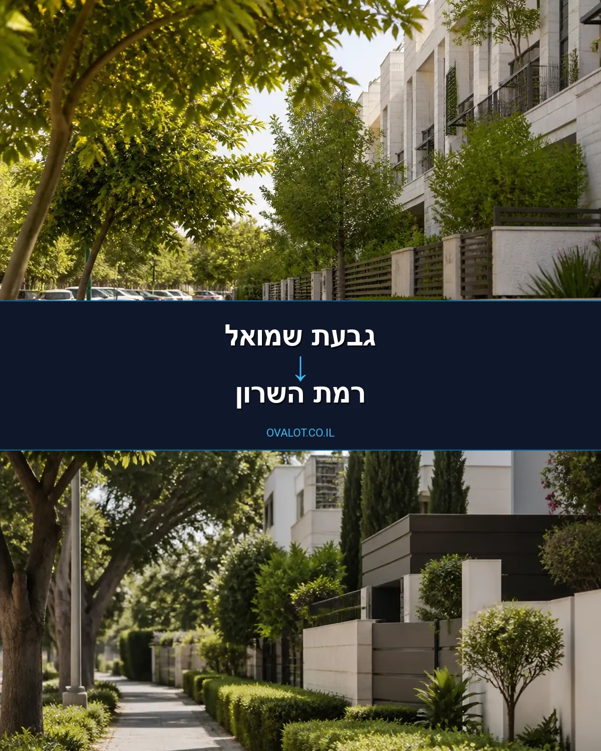 הובלות פסנתרים מגבעת שמואל לרמת השרון