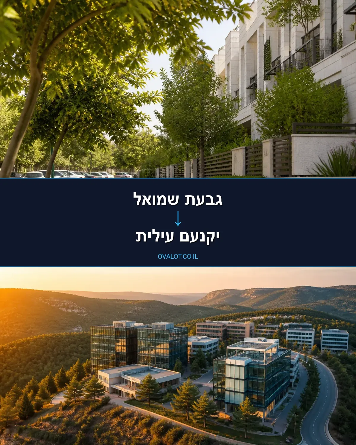 שירותי אריזה מגבעת שמואל ליקנעם עילית