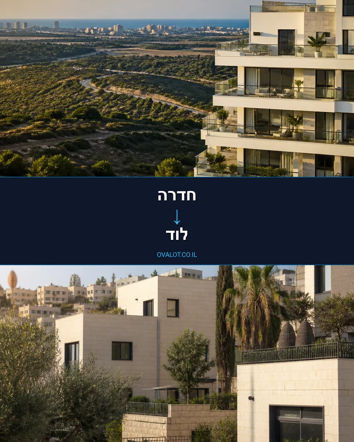הובלה בקירור מחדרה ללוד