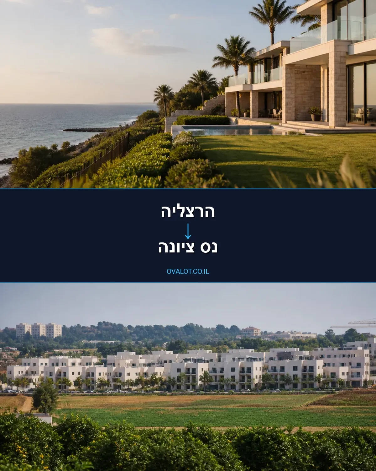 הובלות עם מנוף מהרצליה לנס ציונה