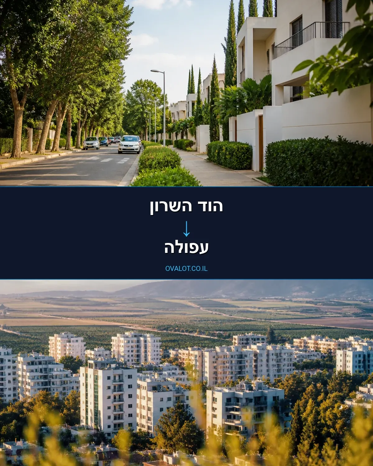 הובלות עם מעלית מהוד השרון לעפולה