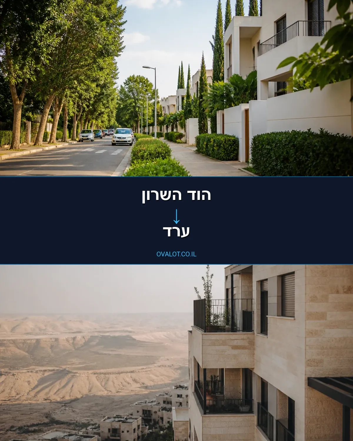 הובלה בקירור מהוד השרון לערד