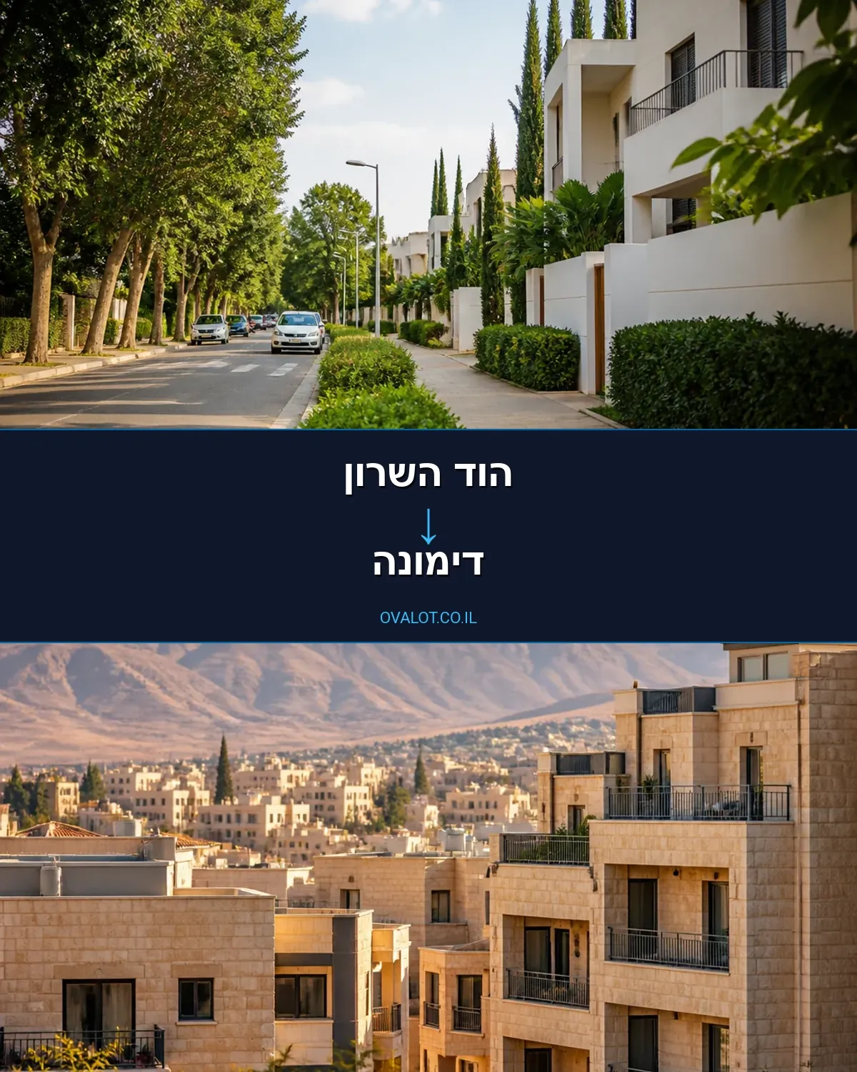 הובלות עם מעלית מהוד השרון לדימונה