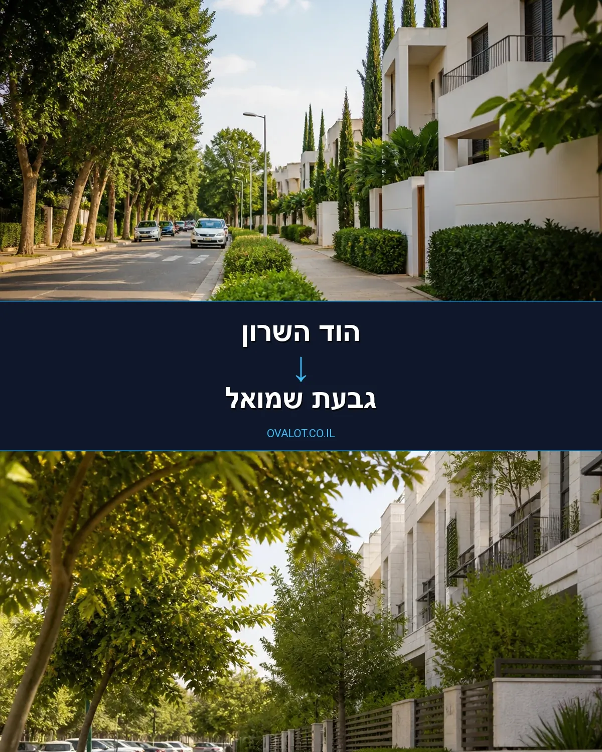הובלות עם מנוף מהוד השרון לגבעת שמואל