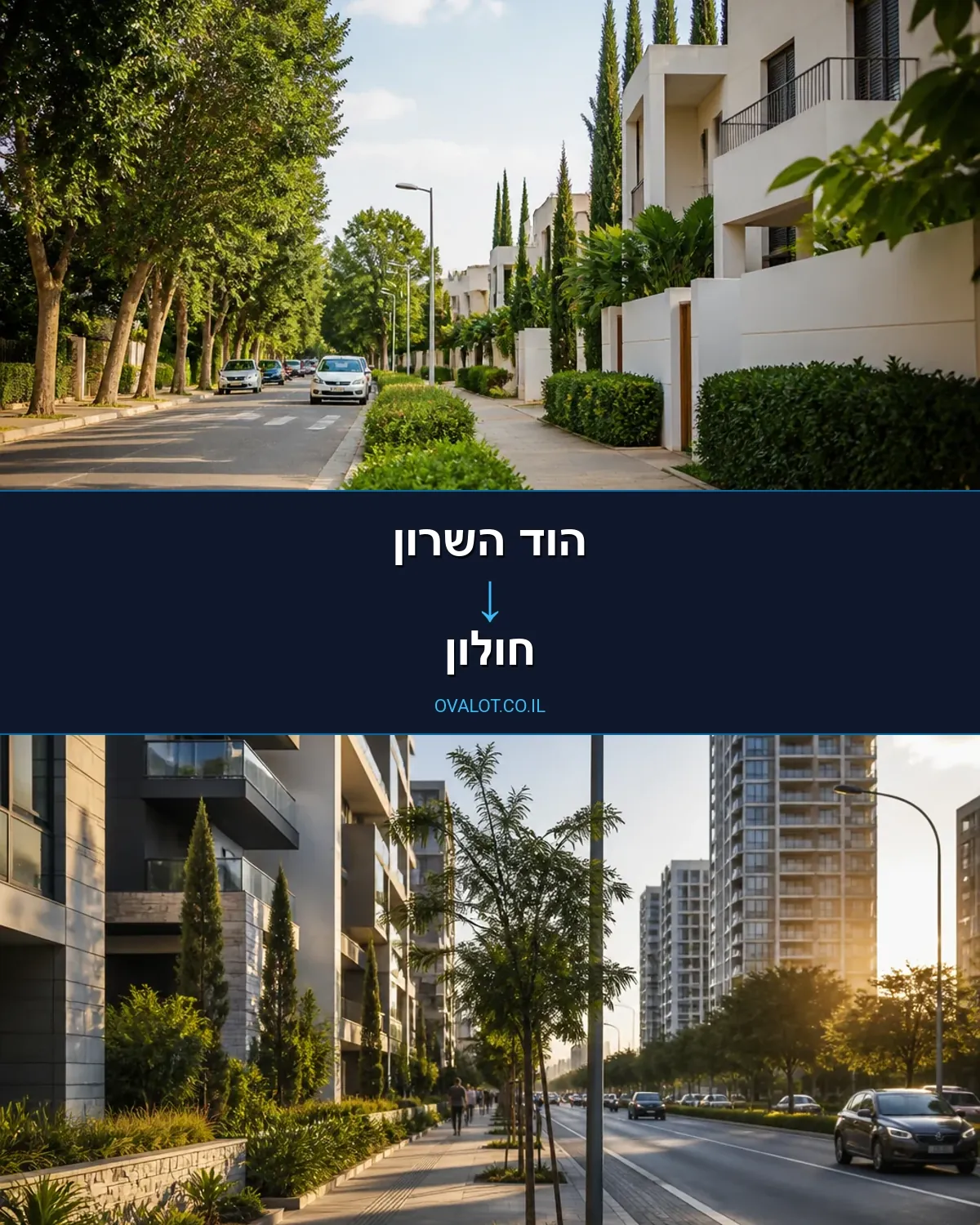 הובלות יצירות אמנות מהוד השרון לחולון