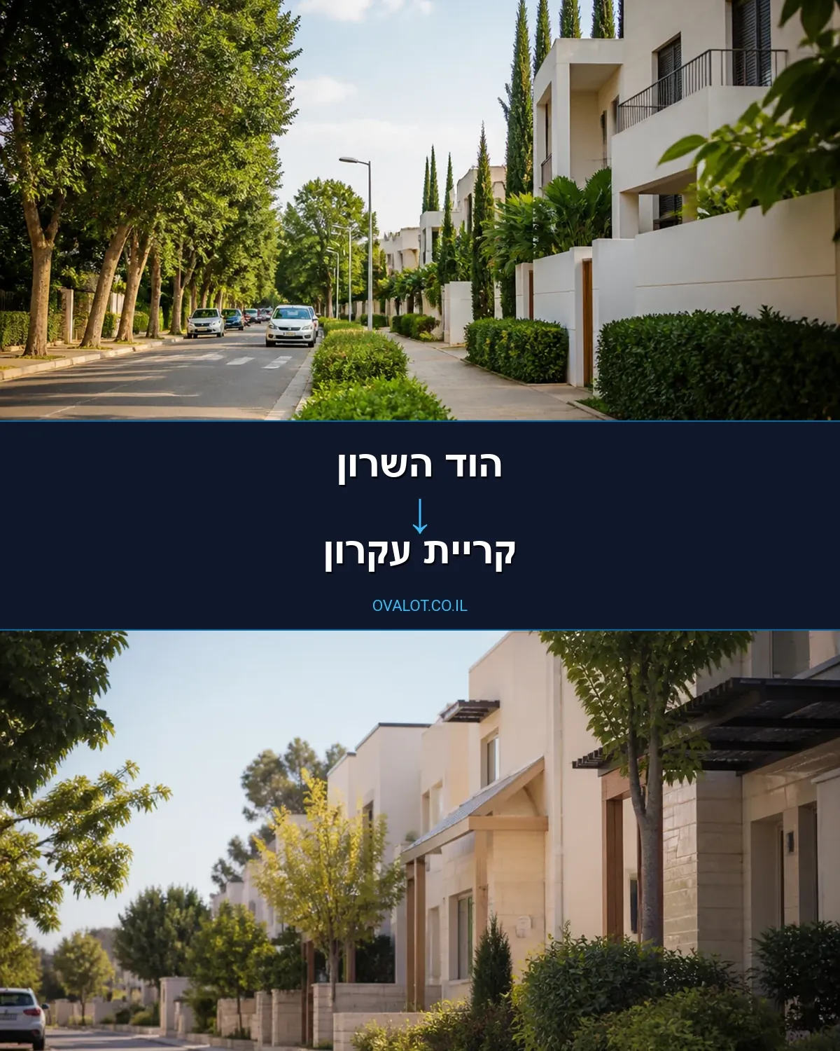 הובלות עם מעלית מהוד השרון לקריית עקרון