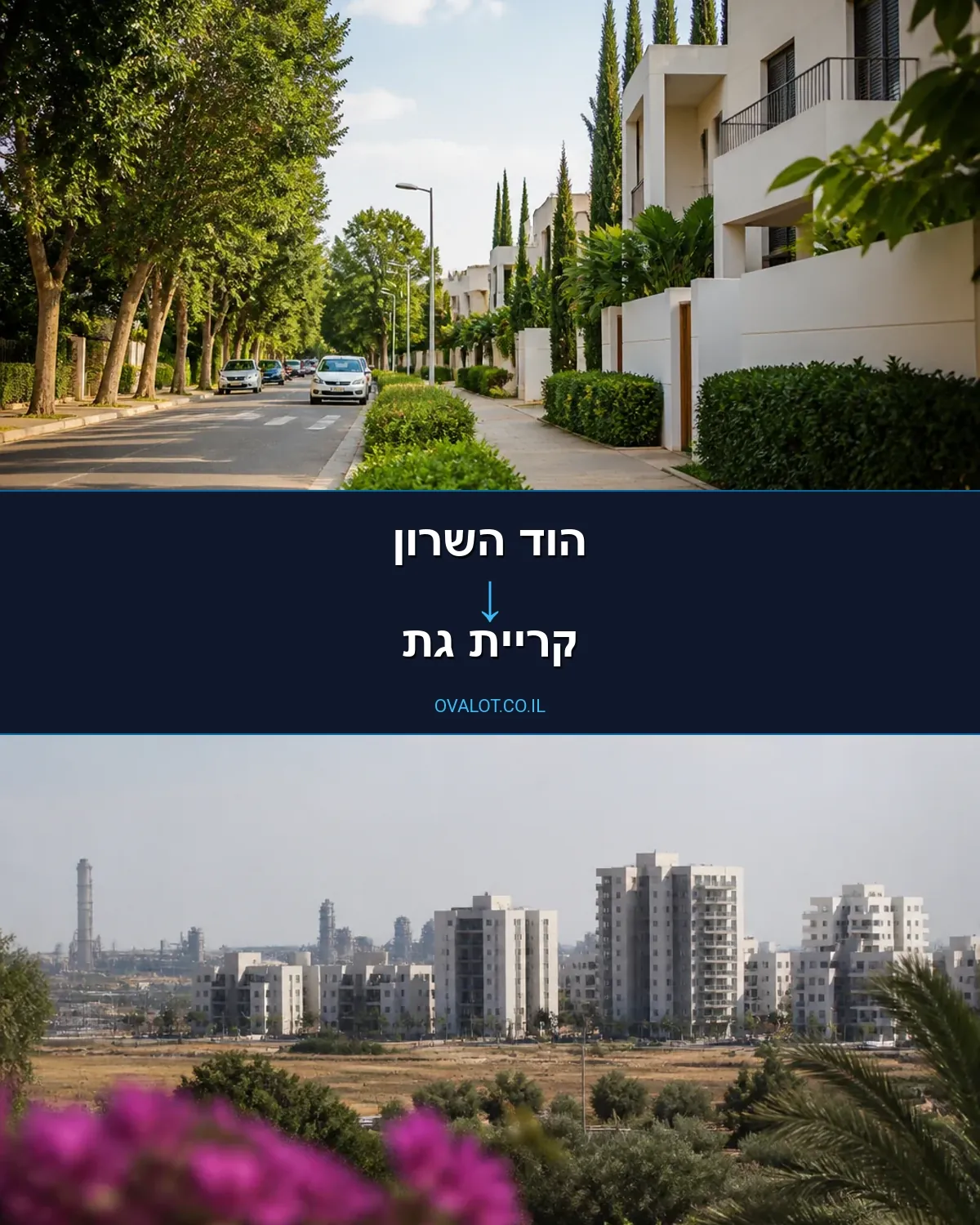 הובלות עם מעלית מהוד השרון לקריית גת