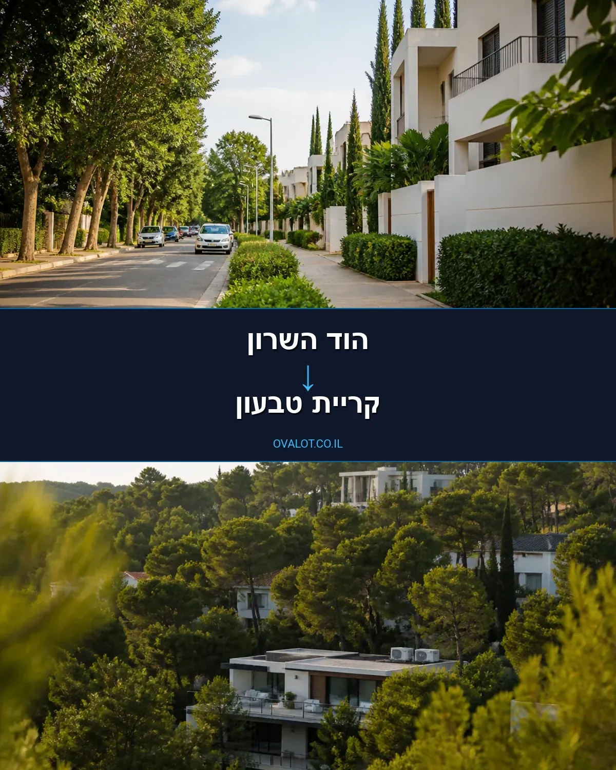 הובלות דירה מהוד השרון לקריית טבעון