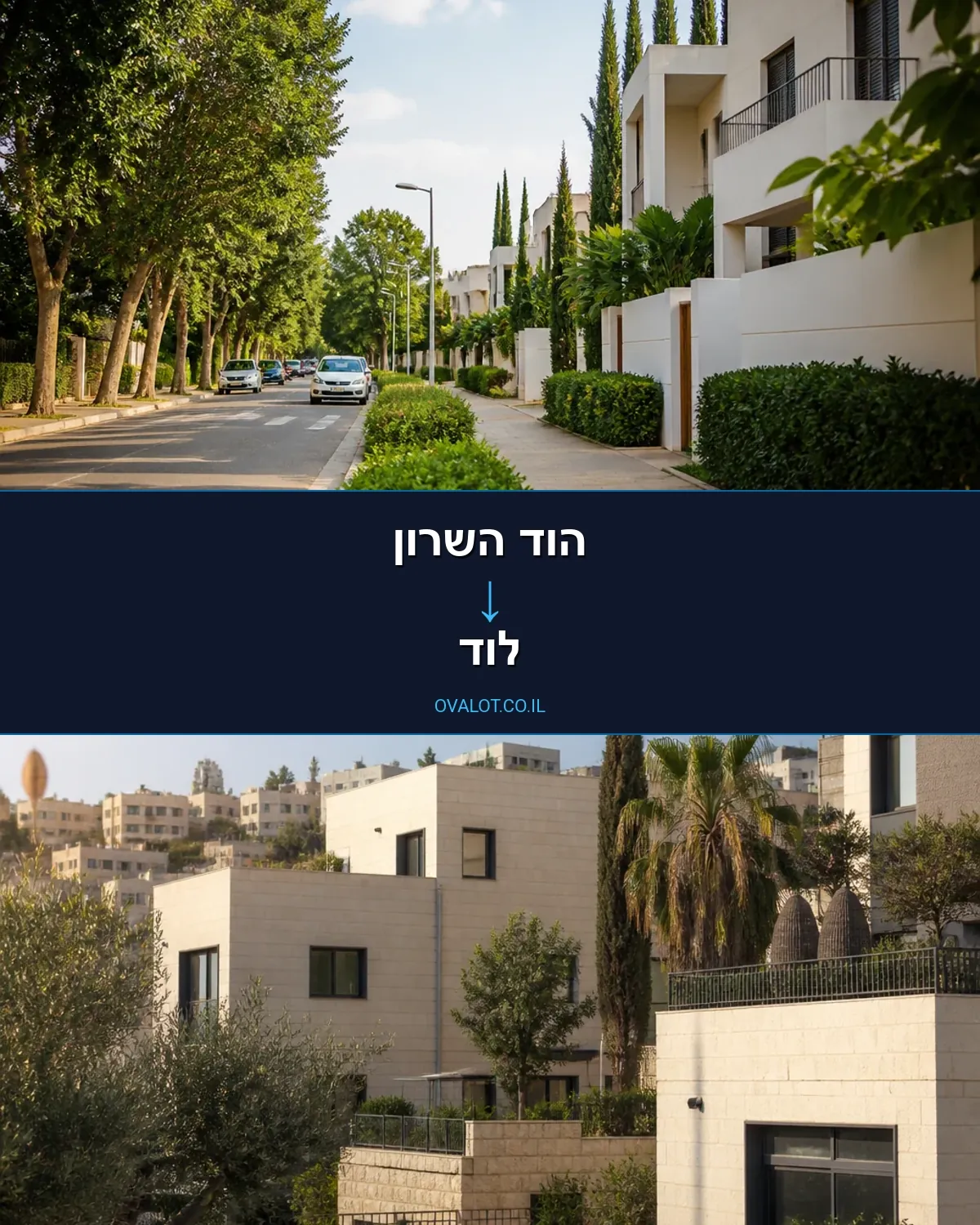 הובלות עם מנוף מהוד השרון ללוד