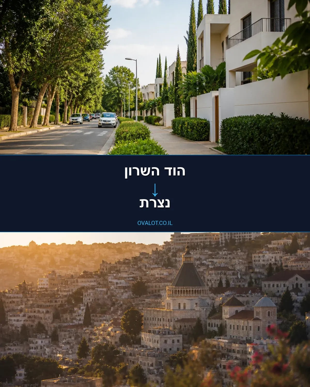 הובלות יצירות אמנות מהוד השרון לנצרת