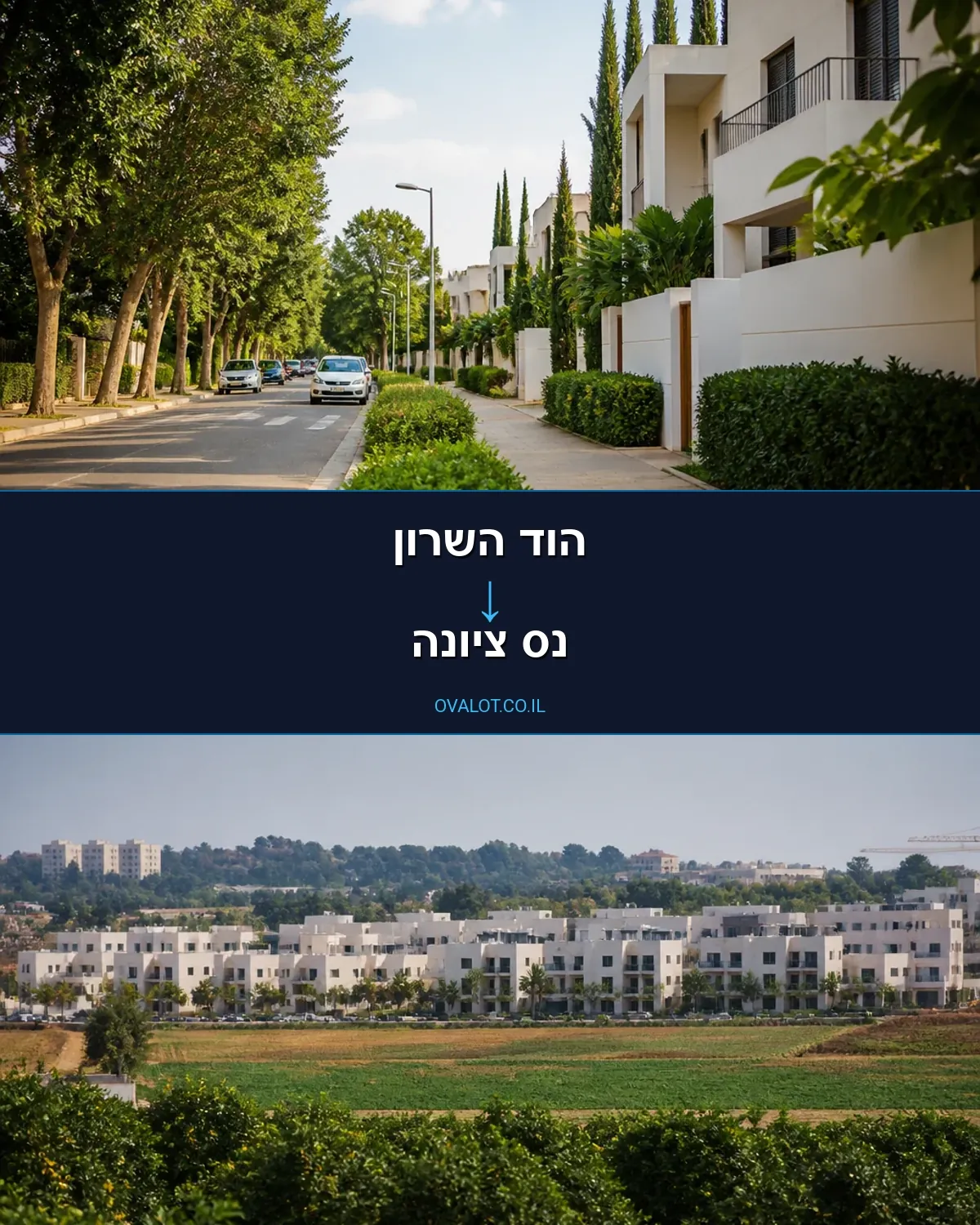 הובלות עם מנוף מהוד השרון לנס ציונה