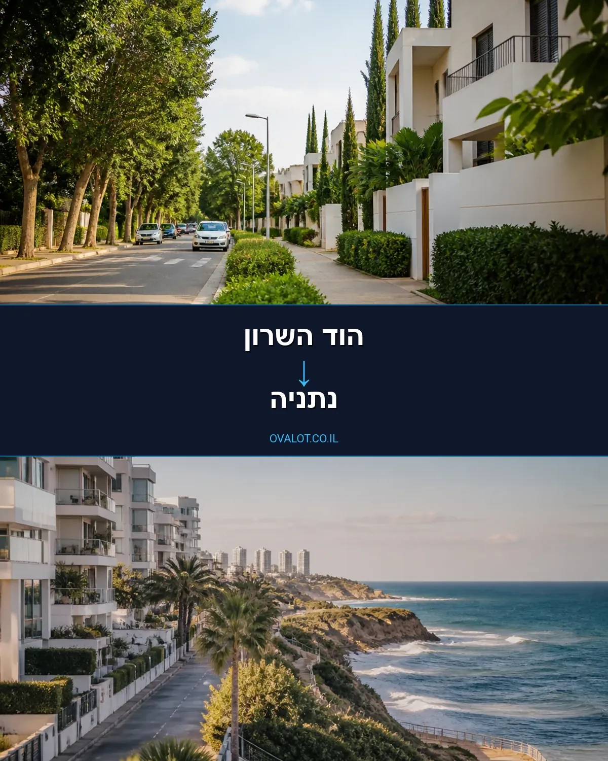 הובלות עם מנוף מהוד השרון לנתניה