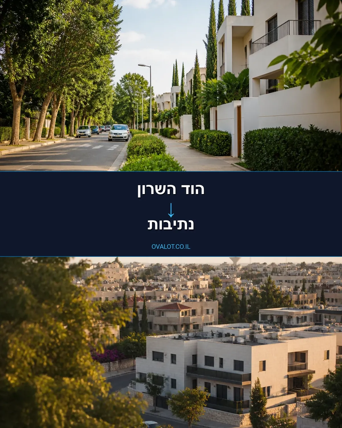 הובלות פסנתרים מהוד השרון לנתיבות